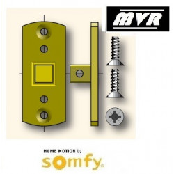 Support moteur Somfy LT50 - LT60 - embout carré - Store