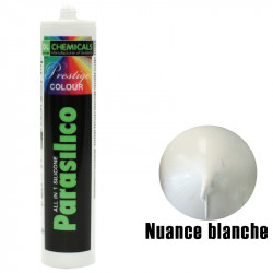 Silicone DL Chemicals Parasilico Prestige colour - Blanc nuance
