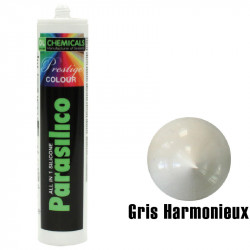 Silicone DL Chemicals Parasilico Prestige colour - Gris harmonieux
