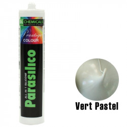 Silicone DL Chemicals Parasilico Prestige colour - Vert pastel