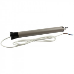Moteur Delta Dore Tymoov D10RP2 hybride brushless 10 Nm - Tête Rollia