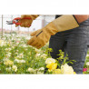 Gants de jardinage rosiers et petits épineux - Rostaing ROSERAIE
