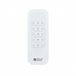 Télécommande Tyxia 1700 radio 5 canaux – Delta Dore 6351403
