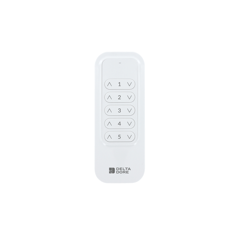 Télécommande Tyxia 1700 radio 5 canaux – Delta Dore 6351403
