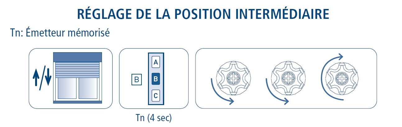 Cherubini Position intermédiaire